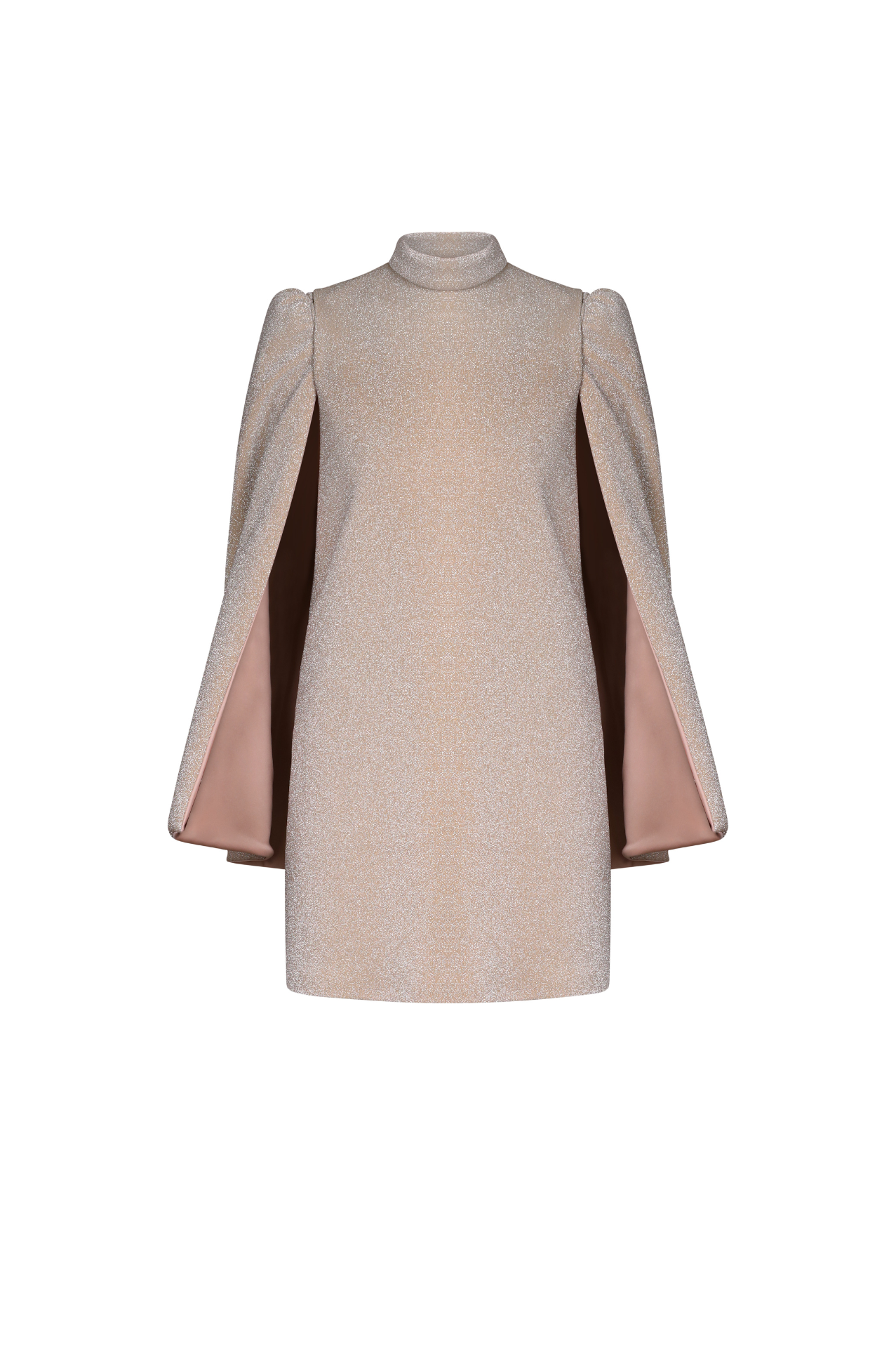 Sable Removable Sleeves Mini Dress