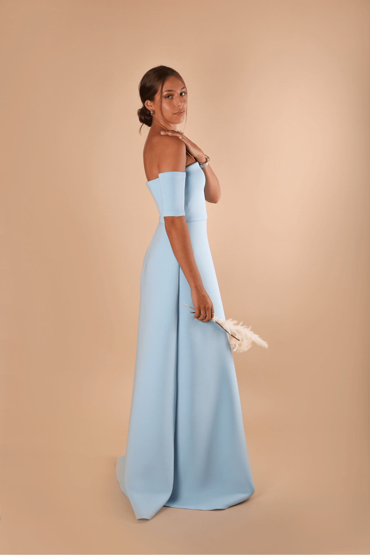 Off the shoulder sleeves Dress