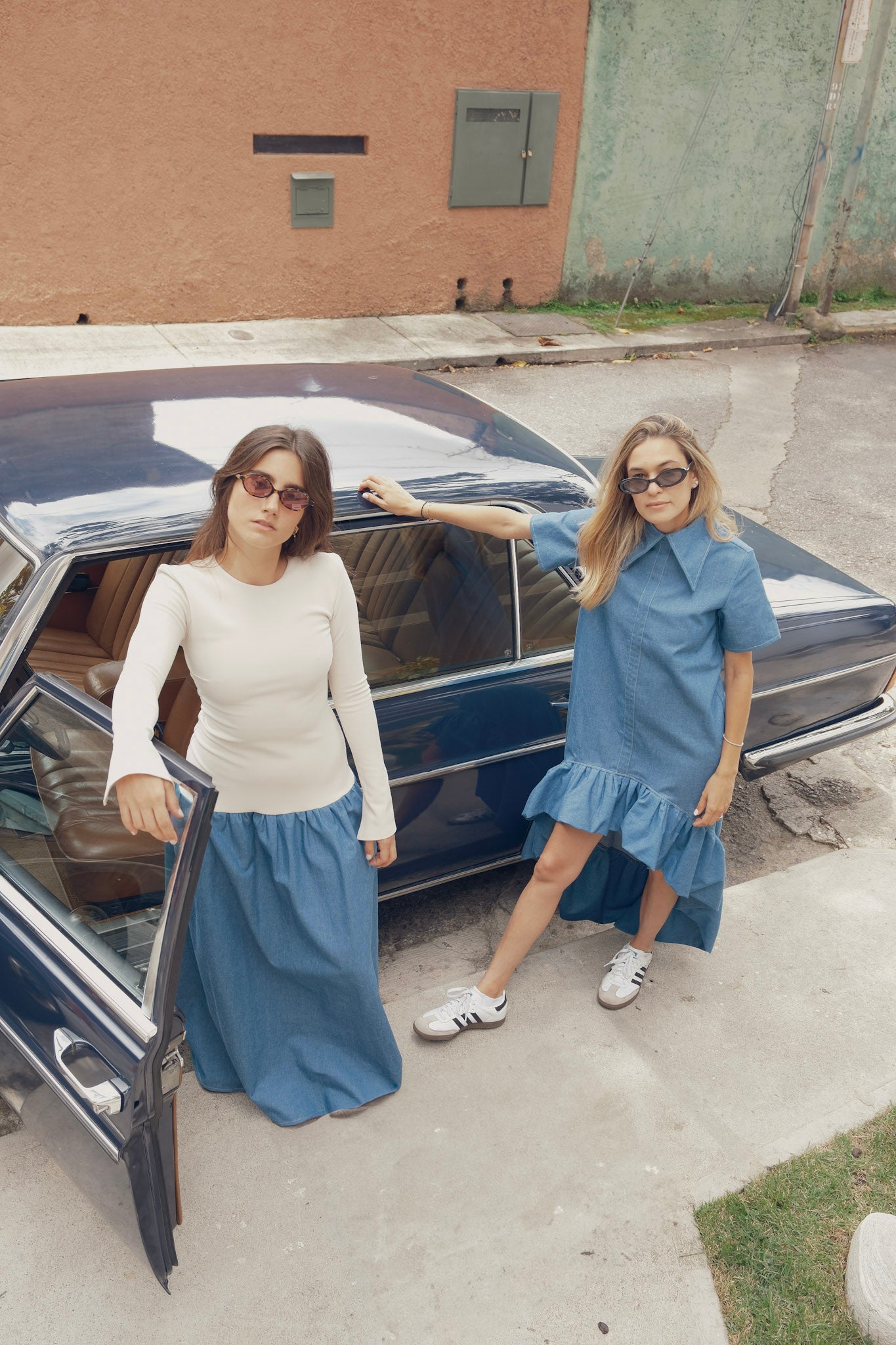 Violette Denim Dress