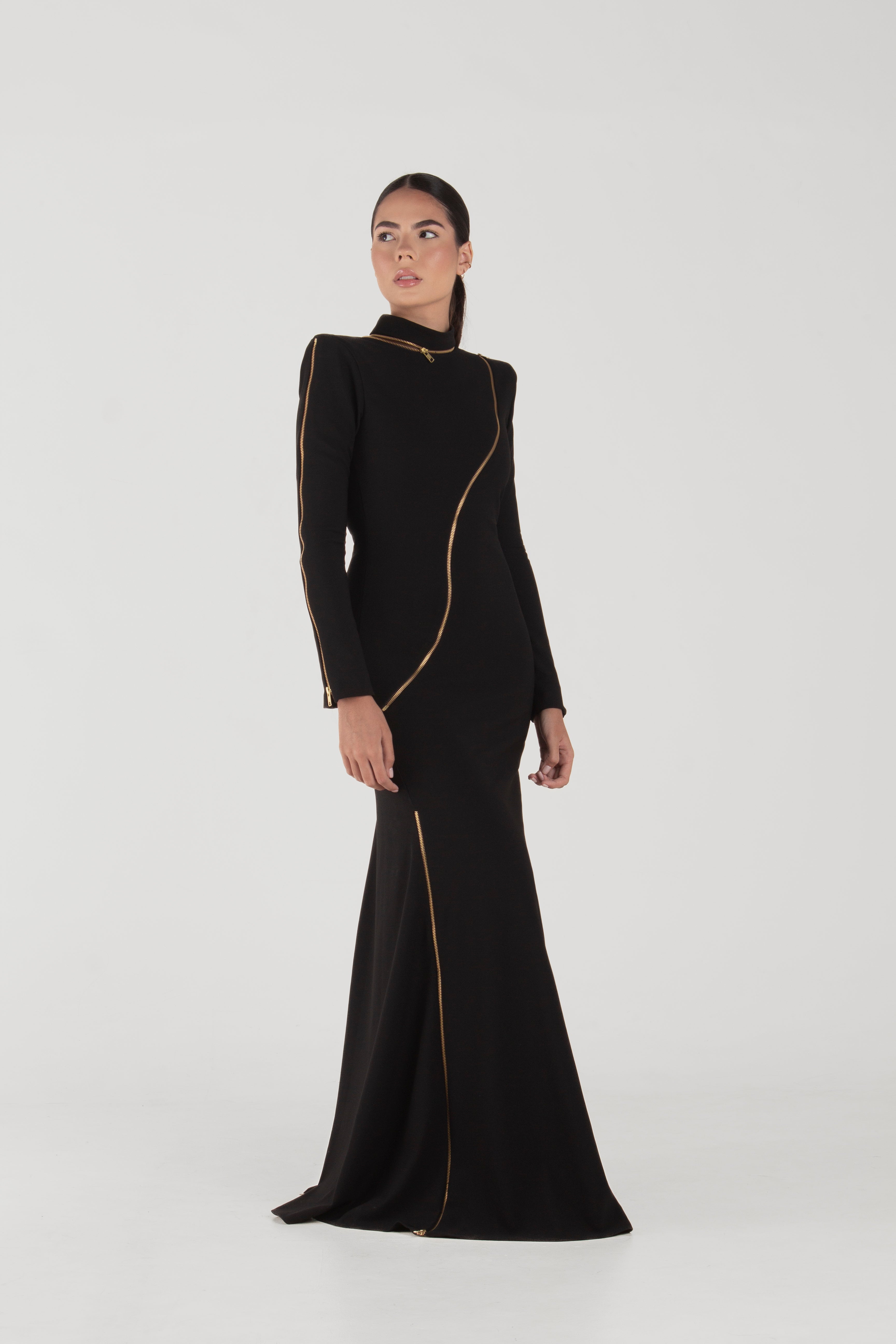 Rina Black Long Sleeves Dress