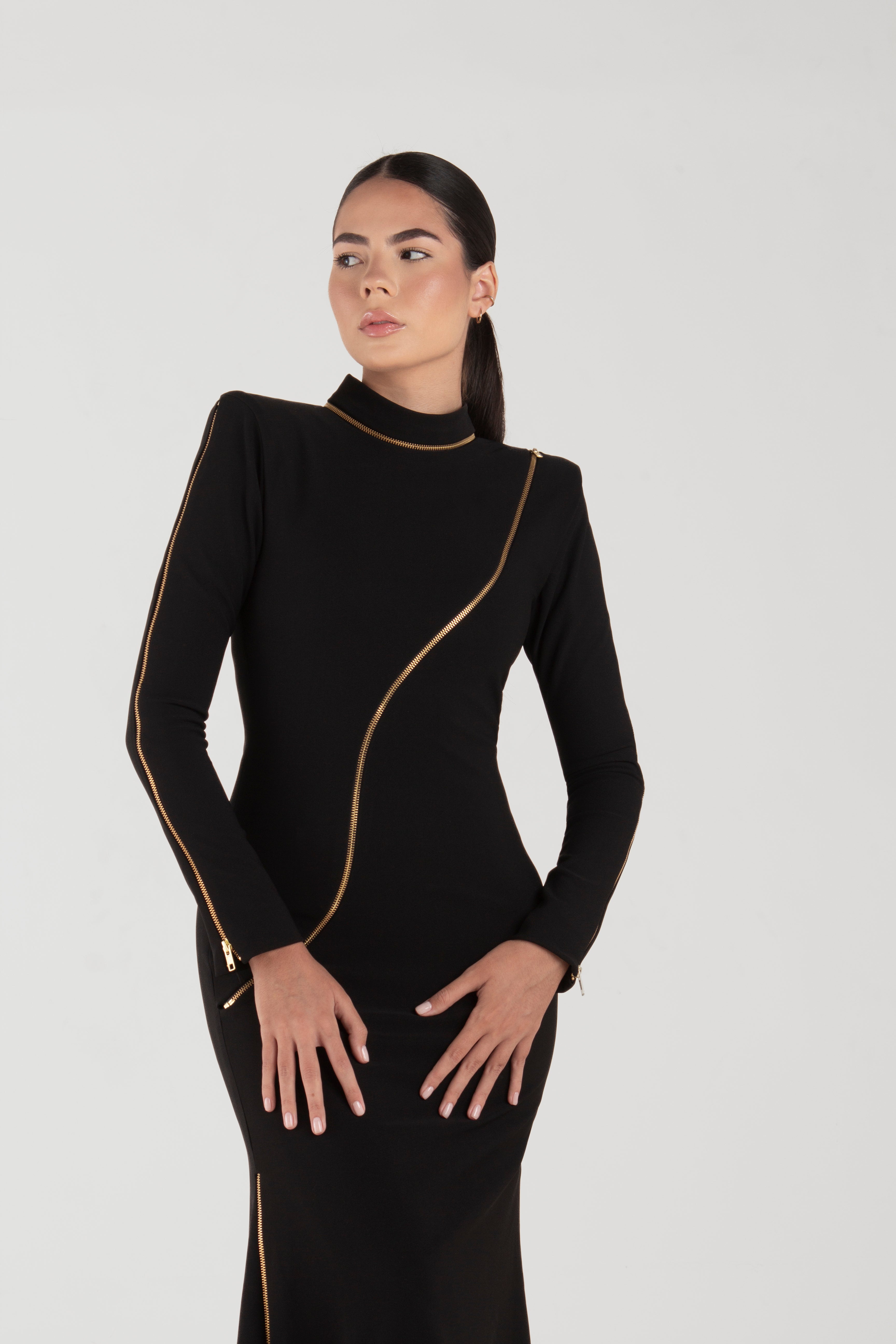 Rina Black Long Sleeves Dress