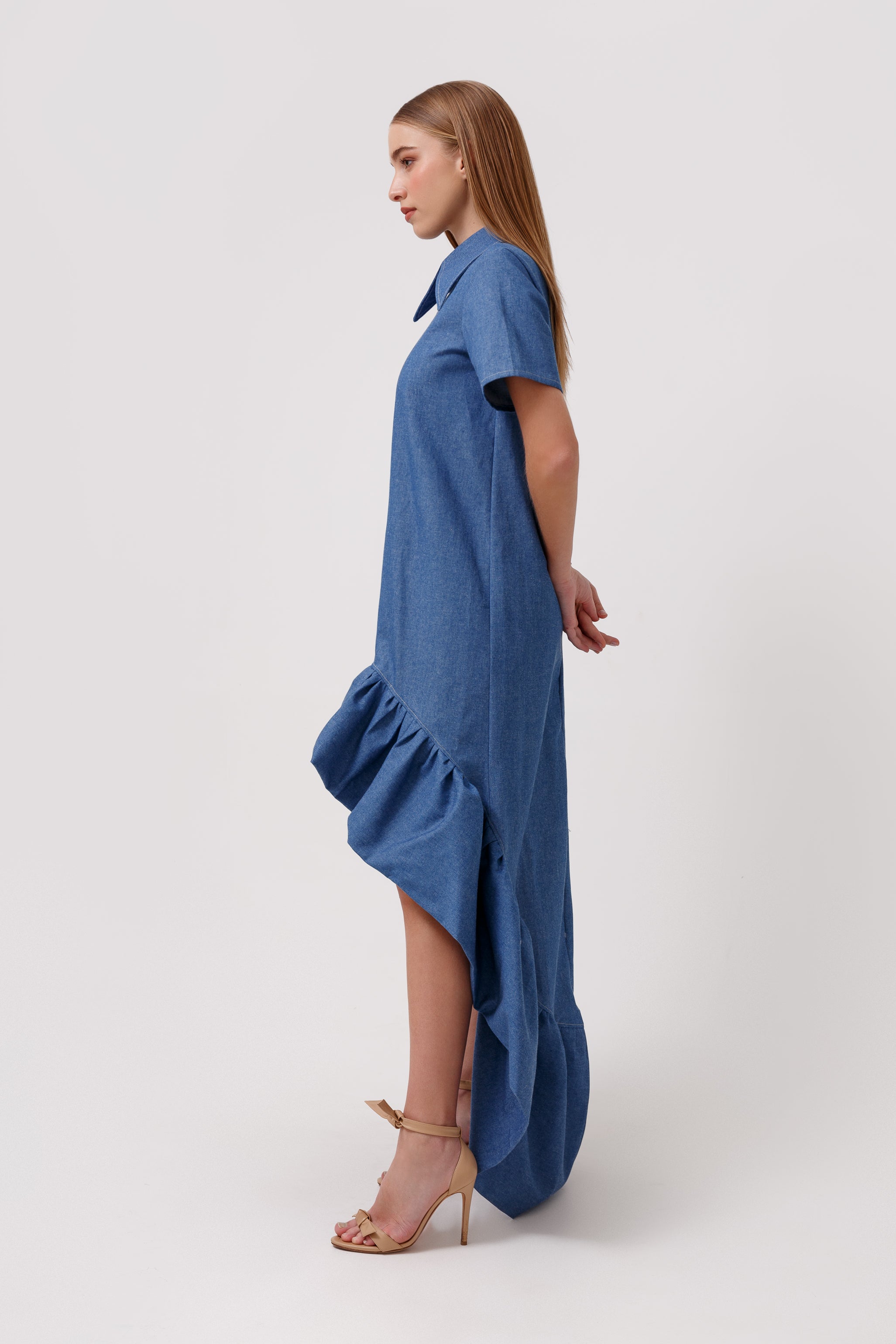 Violette Denim Dress