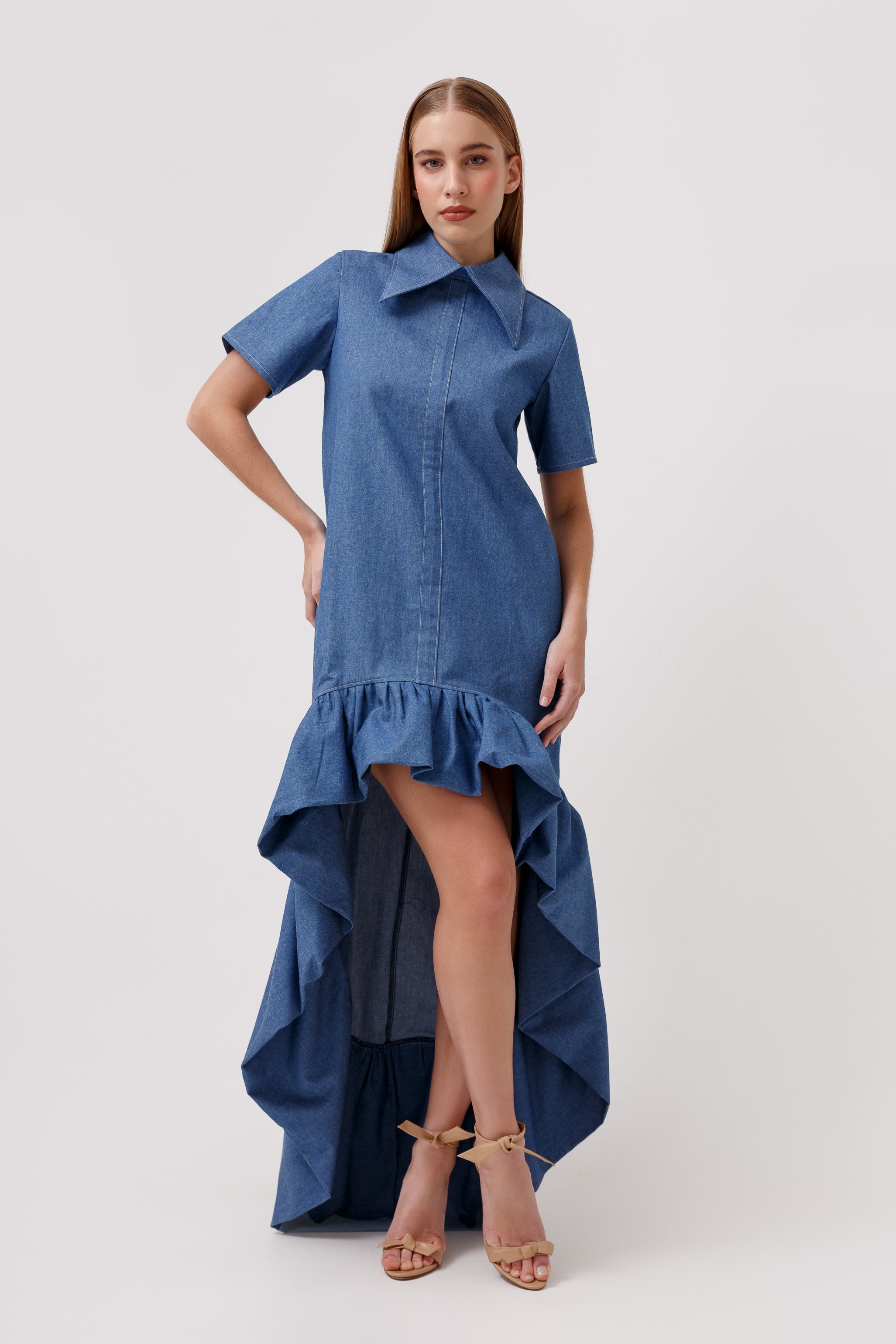 Violette Denim Dress