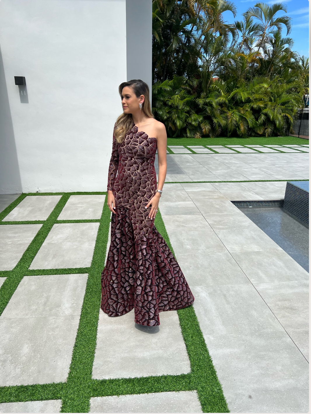 Burgandy One Shoulder Glittery Velvet Gown
